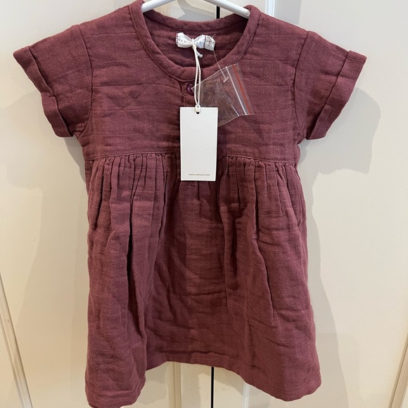 Jamie Kay Other - Jamie Kay Dusty Rose Baby Dress 12m